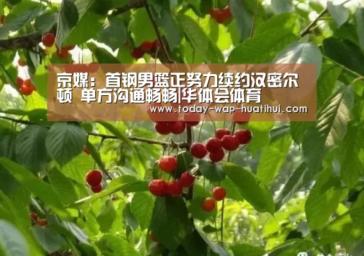 京媒:首钢男篮正努力续约汉密尔顿 单方沟通畅畅|华体会体育(图4) 华体会体育