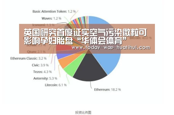 英国研究首度证实空气污染微粒可影响孕妇胎盘“华体会体育”(图2) 华体会体育