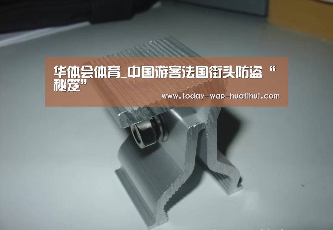 华体会体育_中国游客法国街头防盗“秘笈”(图3) 华体会体育