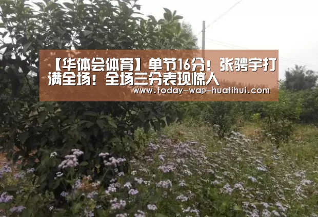 【华体会体育】单节16分!张骋宇打满全场!全场三分表现惊人(图1) 华体会体育