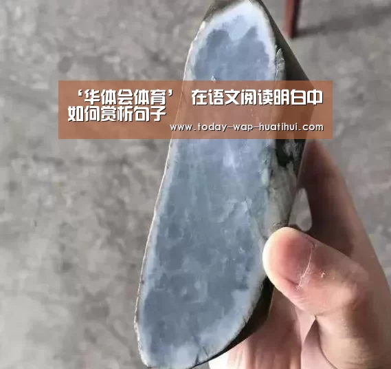 华体会体育