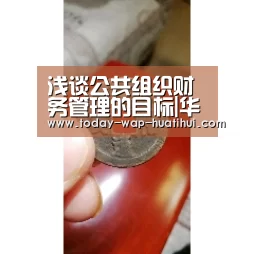 浅谈公共组织财务管理的目标|华体会体育(图1) 华体会体育